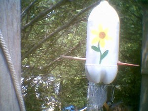 Making A Plastic Bottle Birdfeeder Thriftyfun