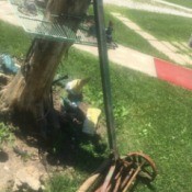 Value of Antique Reel Lawnmower