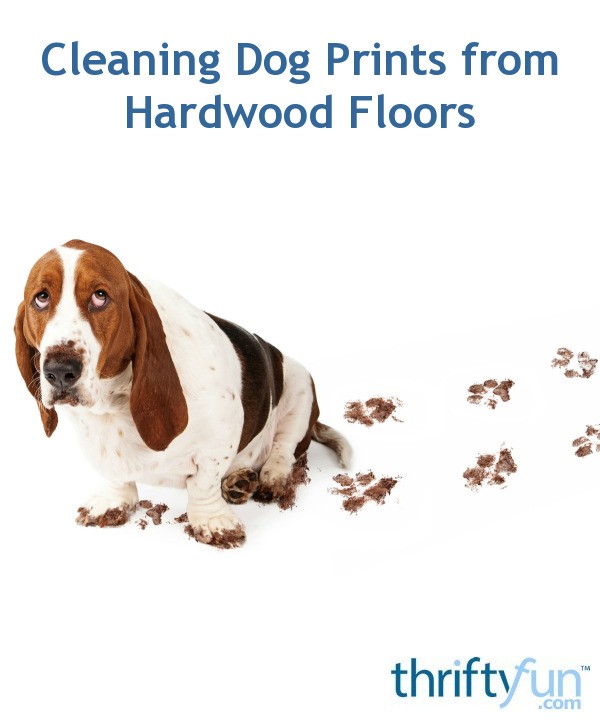 Cleaning Dog Prints from Hardwood Floors? ThriftyFun