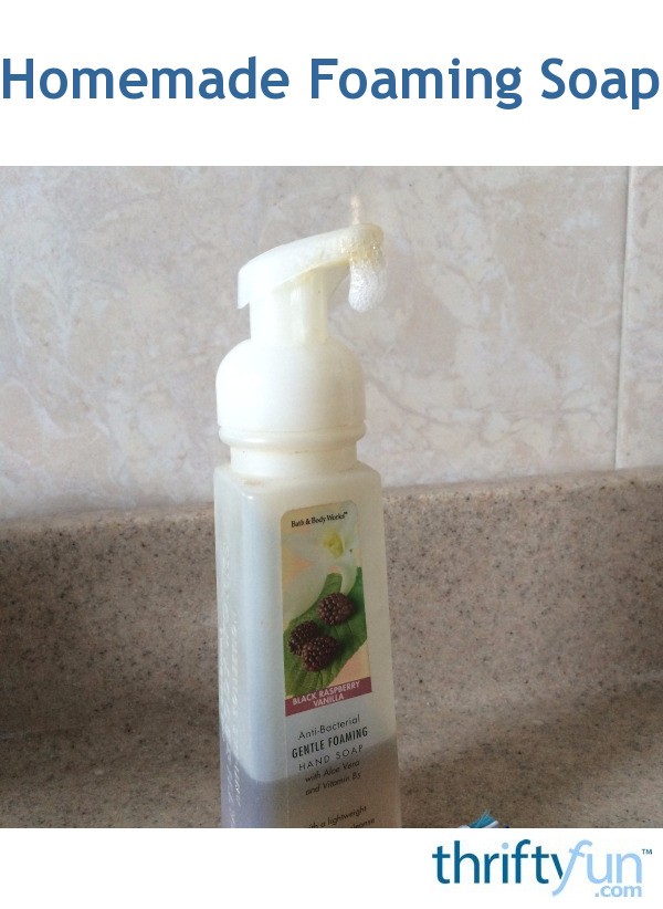 Homemade Foaming Soap ThriftyFun