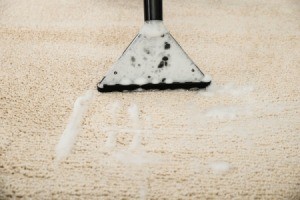 Close up of carpet shampooer removing suds from carpet