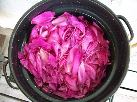 Peony Scented Water