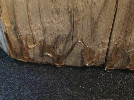 Blocky the Log Monster