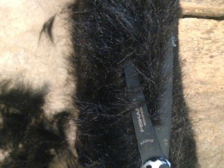 Blocky the Log Monster