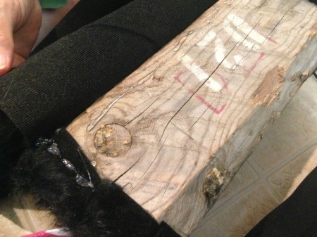 Blocky the Log Monster