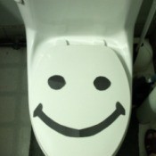Happy Toilets Won't Overflow
