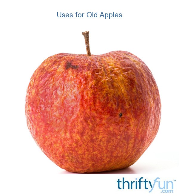 Uses For Old Apples Thriftyfun