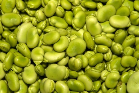 Close up of green lima beans