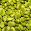Close up of green lima beans
