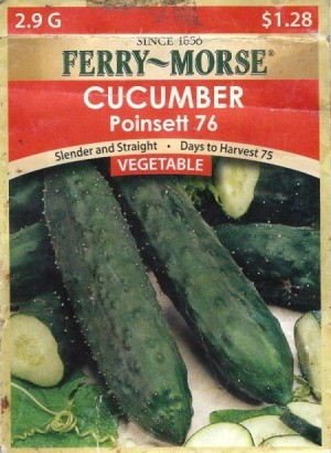 cucumber seed envelop