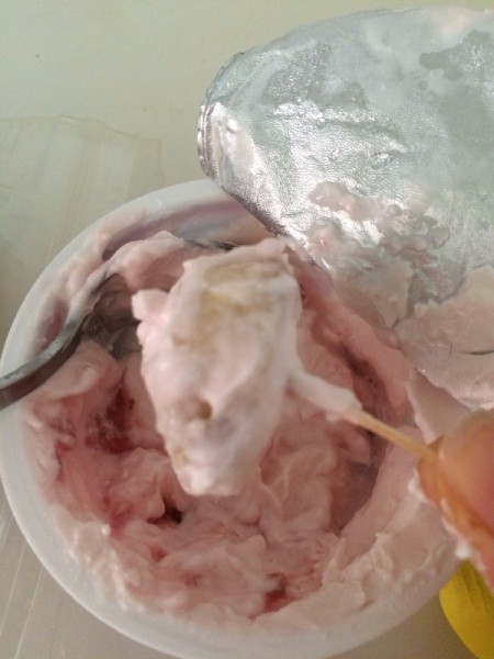 Frozen Yogurt Covered Fruit
