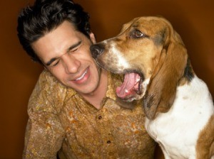 Yawning beagle next to man making a yucky face