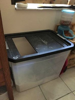 Homemade Cat Litter Box - deep storage container for litter box