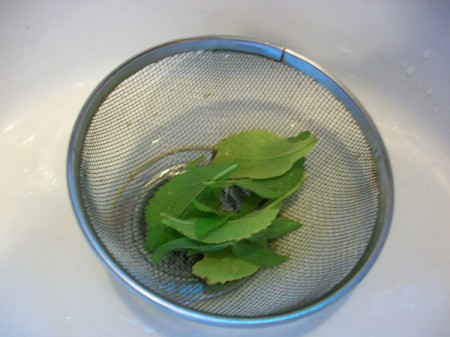 Stevia leaves.