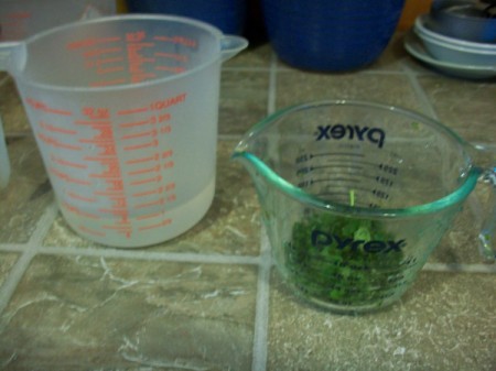 A measuring cup with chopped stevia leaves.