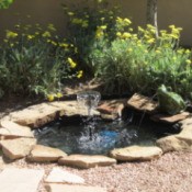 pool with fountain