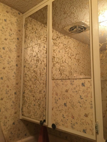 Bathroom Paint Color Advice