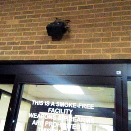 bird nesting on light about hospital entrance