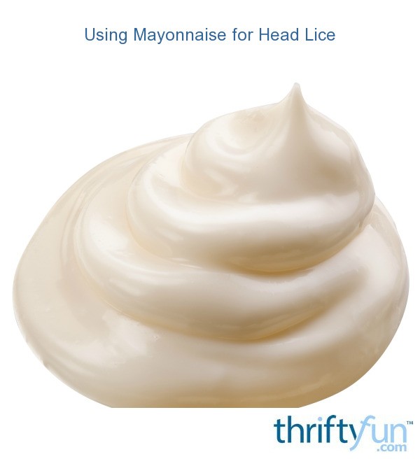 Using Mayonnaise for Head Lice ThriftyFun