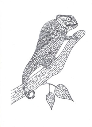 A coloring page featuring a chameleon.