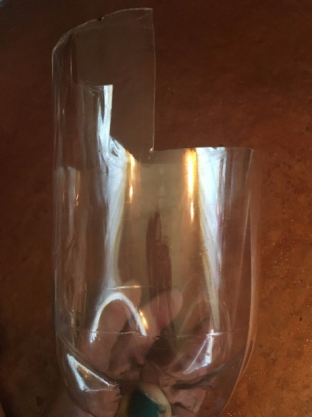 Plastic Bottle Animal Planter