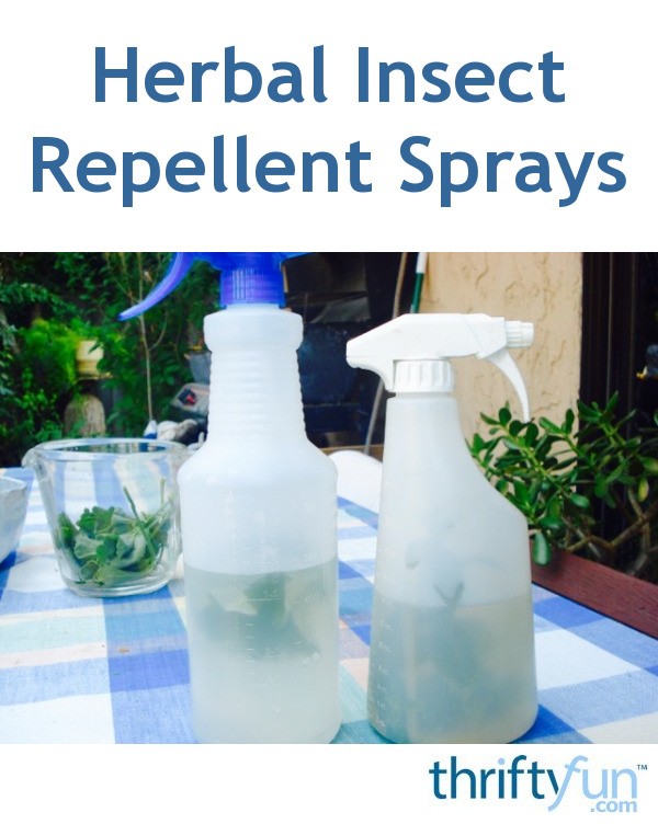 Homemade Herbal Insect Repellent Sprays ThriftyFun