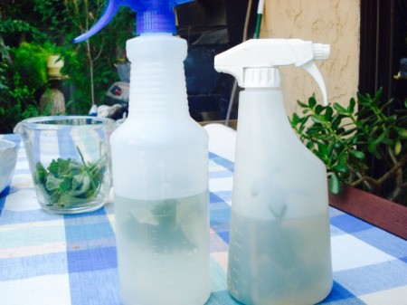 Homemade Mint and Geranium Sprays