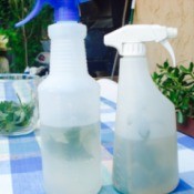 Homemade Mint and Geranium Sprays