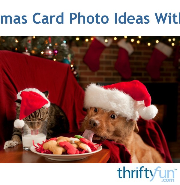 christmas-card-photo-ideas-with-pets-thriftyfun