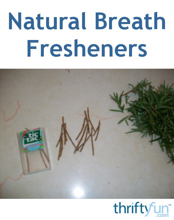 Natural Breath Fresheners from the Garden ThriftyFun