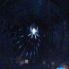 nighttime photo of spider in its web