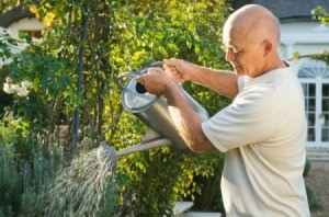 Man watering plants with a watering can