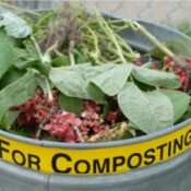 Can full of compostables labelled "For Composting"