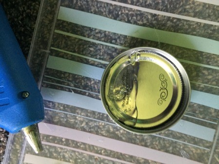 Small Sandy Beach Display