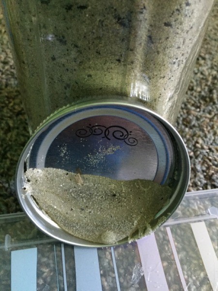 Small Sandy Beach Display