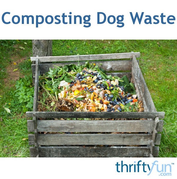 Composting Dog Waste ThriftyFun