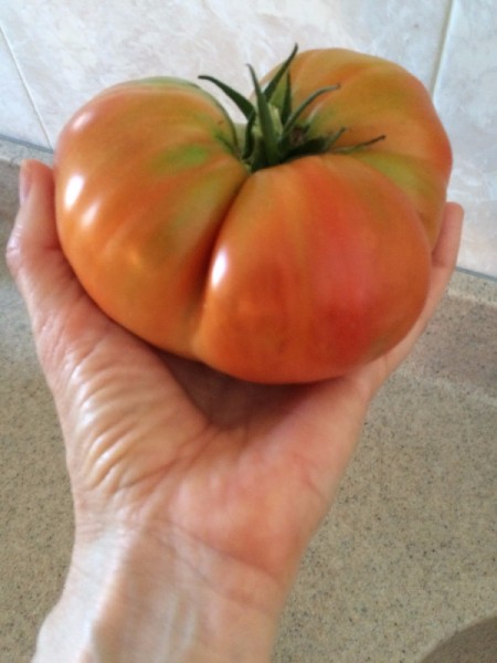 hand holding a beefsteak tomato