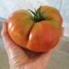 hand holding a beefsteak tomato