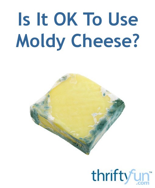 Is It OK To Use Moldy Cheese? ThriftyFun