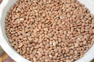 Dried pinto beans in a bowl