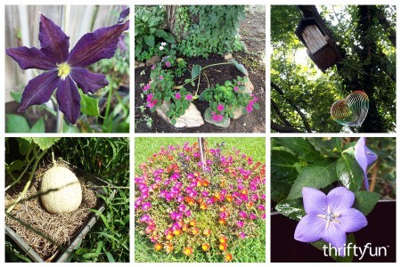 montage of garden flowers and melon