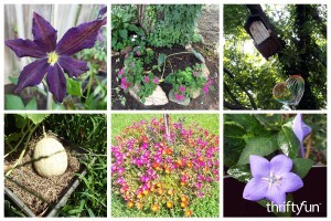 montage of garden flowers and melon