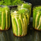 Several jars of yellow and green beans with spices ready to be processed