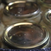 Jars being canned in a hot water bath