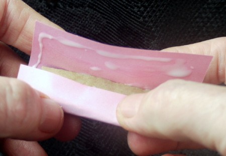 Floral Bow Fridge Magnet