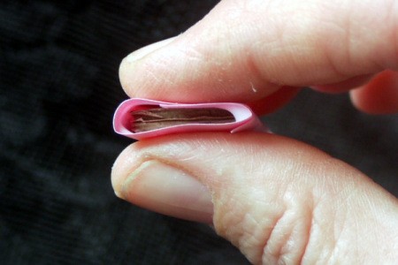 Floral Bow Fridge Magnet