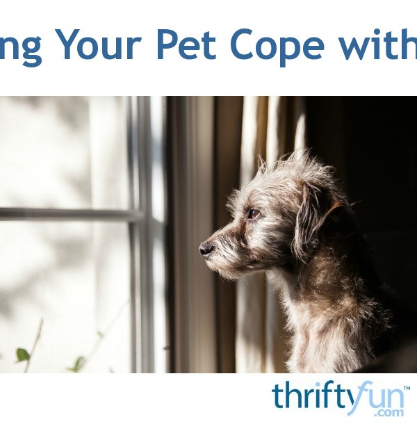 helping-your-pet-cope-with-loss-thriftyfun