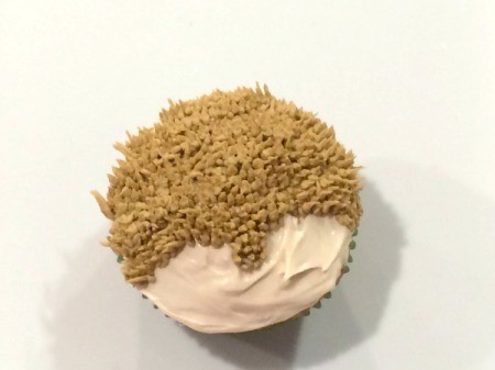 Hedgehog Cupcakes
