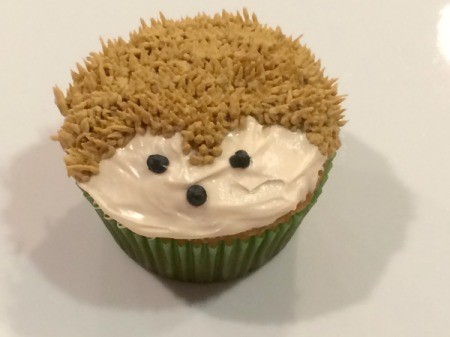 Hedgehog Cupcakes