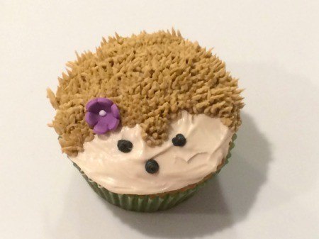 Hedgehog Cupcakes